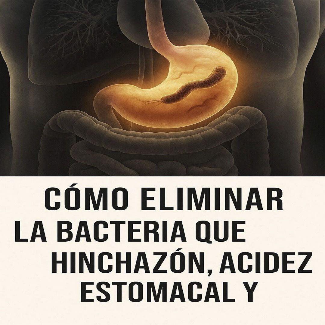 Olvídate de la bacteria Helicobacter pylori: cómo eliminarla y recuperar tu bienestar digestivo