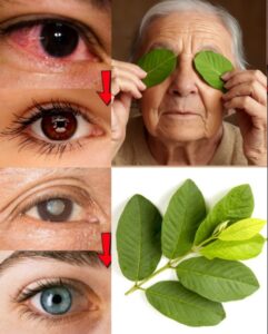 Guayaba: El Tesoro Natural que Protege y Fortalece la Salud de tus Ojos