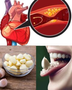 El Poder Oculto del Ajo Crudo: ¿Puede Realmente Reemplazar la Visita al Médico? (La Ciencia Responde)