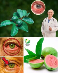 Cómo Usar la Guayaba para Tratar Problemas Oculares: Remedios Naturales para Cuidar tus Ojos
