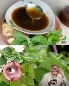 Recupera una Visión Clara como el Cristal: El Poder Oculto del Orégano para las Cataratas y la Salud Ocular