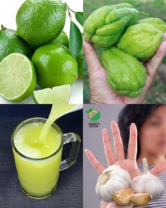 Descubre cómo el chayote, el ajo y el limón pueden ayudarte a combatir el dolor de rodillas, la mala circulación, el colesterol y la presión arterial alta con recetas caseras naturales.