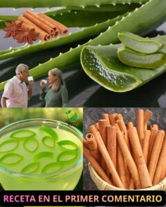 Aloe vera con canela: el remedio casero que cuida tu salud y tu vista