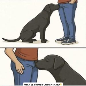 Por Qué Mi Perro Huele Mis Partes? Descubre el Curioso Vínculo Entre Caninos y Humanos IMG_6757