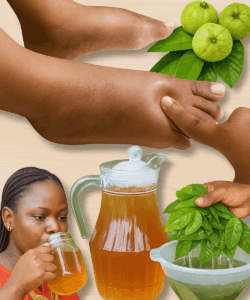 💧 DEFY GRAVITY: El secreto del té de hojas de guayaba para eliminar instantáneamente las piernas, los tobillos y los pies hinchados 🌿👣
