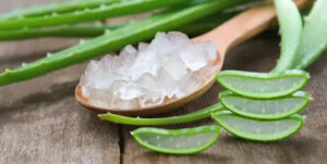 El Aloe Vera en Ayunas y sus Beneficios: Una Guía Completa