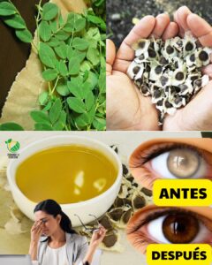 🌿 El Poder Oculto de las Semillas de Moringa: 12 Beneficios que Cambian la Vida y que tu Médico No te Contará
