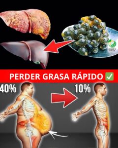Semillas de papaya: el remedio natural que pocos conocen