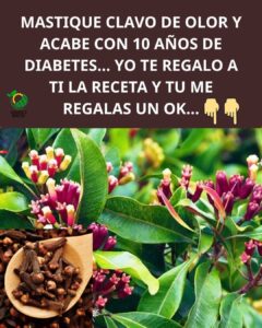 Beneficios de Masticar Clavo de Olor a Diario
