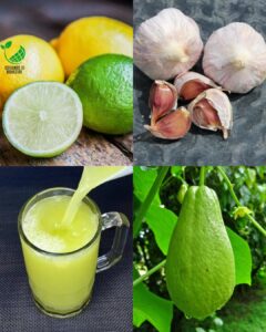 Descubre cómo el chayote, el ajo y el limón pueden ayudarte a combatir el dolor de rodillas, la mala circulación, el colesterol y la presión arterial alta con recetas caseras naturales.