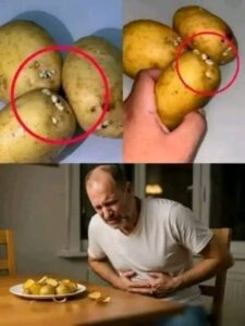 🔬 Médicos revelan que el consumo de papa produce… (lo que debes saber)