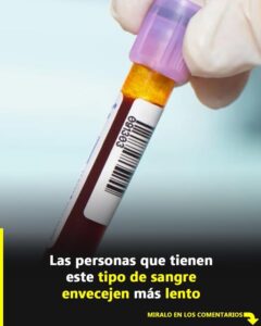 ¿Tu grupo sanguíneo podría estar determinando cuán rápido envejeces? Lo que revelan los estudios te va a sorprender