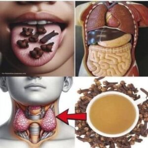 Clavo de olor: pequeño, aromático y lleno de beneficios para tu salud y cocina