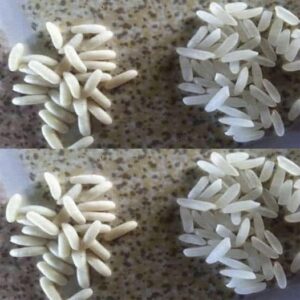 Arroz real o plástico: cómo diferenciarlo con pruebas caseras