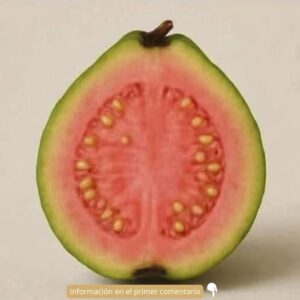 17 Beneficios Sorprendentes de las Hojas de Guayaba para Tu Salud 17 Beneficios Sorprendentes de las Hojas de Guayaba para Tu Salud