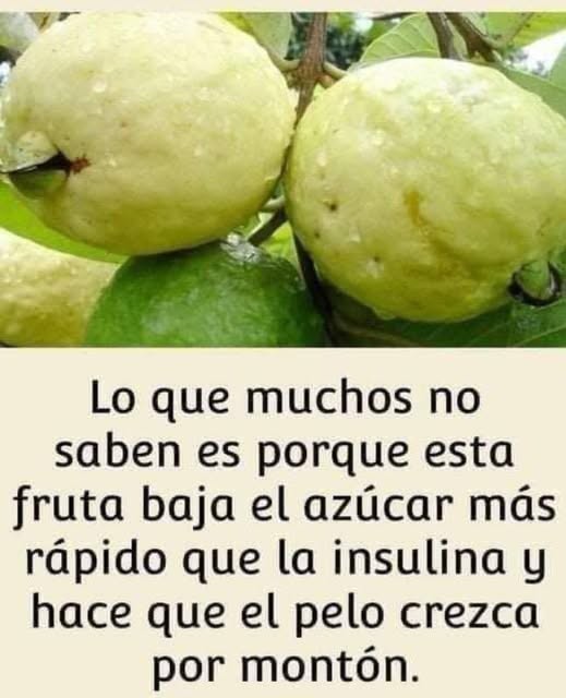 Bebida Tradicional de la Abuela con Cúrcuma, Hojas de Guayaba y Ajo