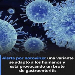 Alerta por Norovirus: una variante se adaptó a los humanos Alerta por Norovirus: una variante se adaptó a los humanos