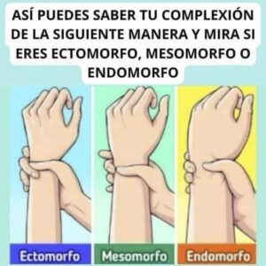 ¿Eres ectomorfo, mesomorfo o endomorfo? Descubre tu tipo de cuerpo y cómo sacarle provecho