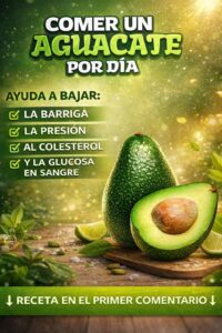 El aguacate es uno de esos alimentos que, sin hacer mucho ruido, se ha ganado un lugar fijo en la mesa de muchísimas personas