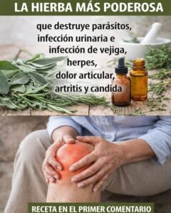 Cómo el Tomillo Podría Apoyar la Salud del Cartílago en tus Rodillas