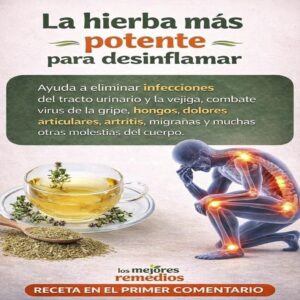 Bebidas para desinflamar el abdomen a base de jengibre: alivio natural que sí se nota
