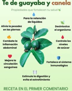 Té de Guayaba con Canela y Limón: Beneficios y Cómo Prepararlo