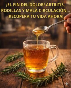 Romero: La Morfina Natural para Dolores Musculares y Articulares