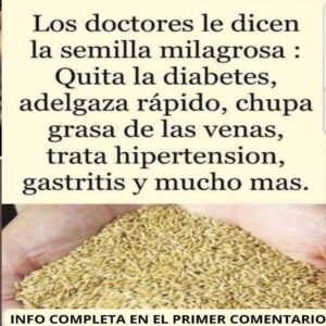 Descubre la semilla milagrosa que está sorprendiendo a todos