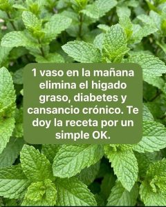 La bebida de la mañana de la que todos hablan: lo que realmente puede aportar a tu rutina La bebida de la mañana de la que todos hablan: lo que realmente puede aportar a tu rutina
