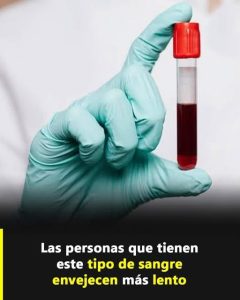 ¿Las personas con cierto tipo de sangre envejecen más lento? Esto es lo que realmente se sabe ¿Las personas con cierto tipo de sangre envejecen más lento? Esto es lo que realmente se sabe